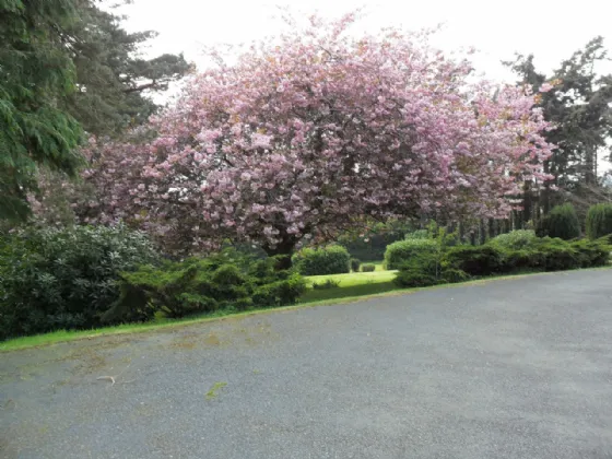 Photo of Cnoc Alainn, Rockmarshall, Jenkinstown, Co. Louth, A91 TR79