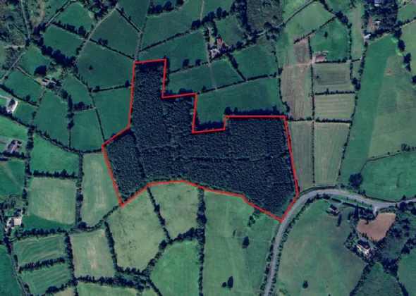 Photo of Corracarrow, Ballyjamesduff, Co. Cavan, A82 YC44