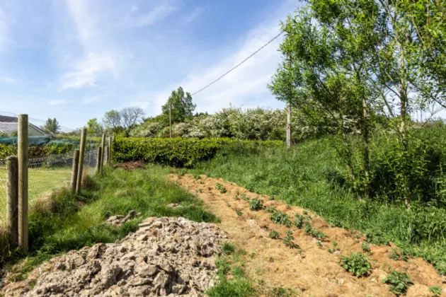 Photo of Mulrankin, Bridgetown, Co Wexford, Y35 V308