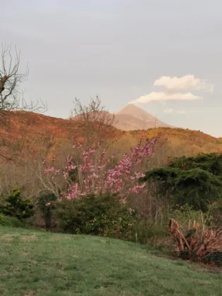 Photo of Carrowbaun, Westport, Co Mayo, F28 KX26