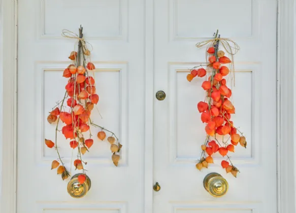 Photo of Bedford Lodge, Mount Prospect Avenue, Clontarf, Dublin 3, D03 P6P6