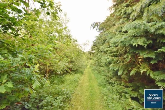 Photo of High Road, Brosna, Co Kerry, V92 A9C4