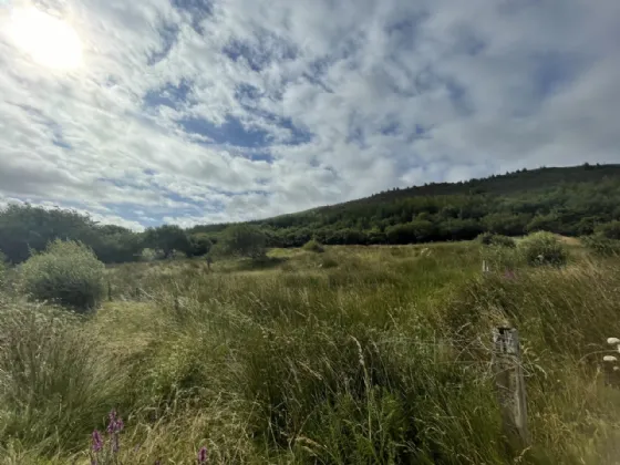 Photo of 28 Acre Farm Cottage & Outbuildings, Falduff, Louisburgh, Co. Mayo, F28DD85