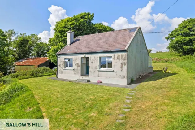 Photo of Whiddy Island, Bantry, Co. Cork, P75EF25