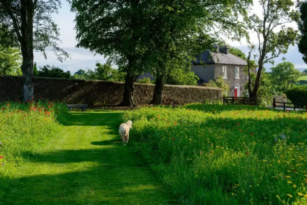 Photo of Glebe House On Circa 5.83 Acres, Farrantemple, The Rower, Inistioge, Co Kilkenny, R95 Y2V9