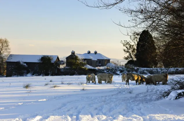 Photo of Glebe House On Circa 5.83 Acres, Farrantemple, The Rower, Inistioge, Co Kilkenny, R95 Y2V9