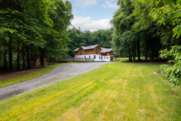 Photo of Sequoia, Killgibbon Wood, Bree, Enniscorthy, Co Wexford, Y21 DN79