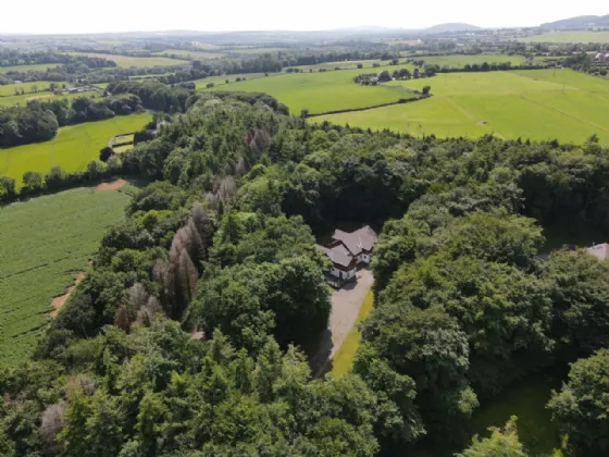 Photo of Sequoia, Killgibbon Wood, Bree, Enniscorthy, Co Wexford, Y21 DN79