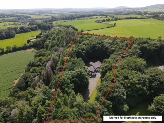 Photo of Sequoia, Killgibbon Wood, Bree, Enniscorthy, Co Wexford, Y21 DN79