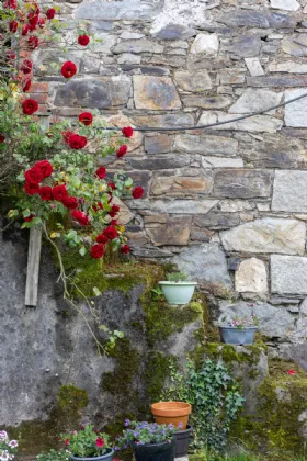 Photo of Ballahara, Barndarrig, County Wicklow, A67RP44