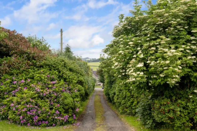 Photo of Ballahara, Barndarrig, County Wicklow, A67RP44