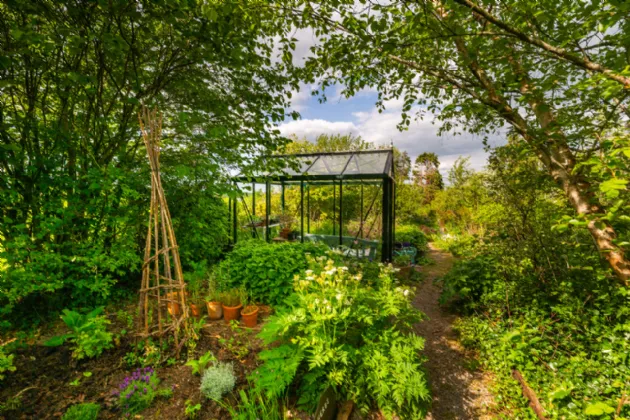 Photo of Ivy House, Loughkeen, Carrig, Birr, Co Offaly, R42 YA25