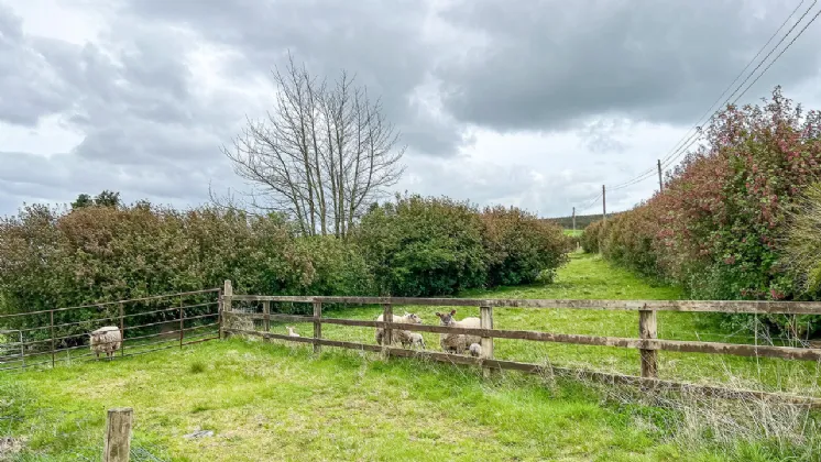 Photo of Cottage On Circa 1.16 Acres, Ballycuddihy, Johnstown, Co Kilkenny
