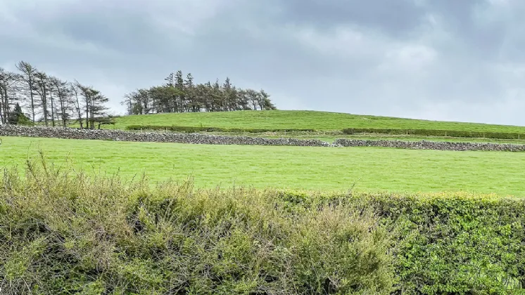 Photo of Cottage On Circa 1.16 Acres, Ballycuddihy, Johnstown, Co Kilkenny