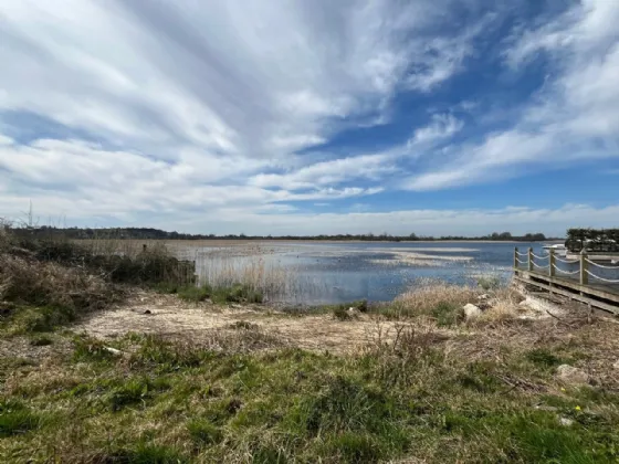 Photo of Ballykeeran Beg, Athlone, Co. Westmeath, N37 VR82