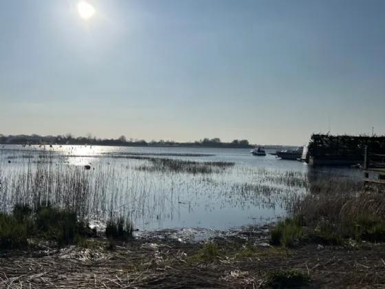 Photo of Ballykeeran Beg, Athlone, Co. Westmeath, N37 VR82