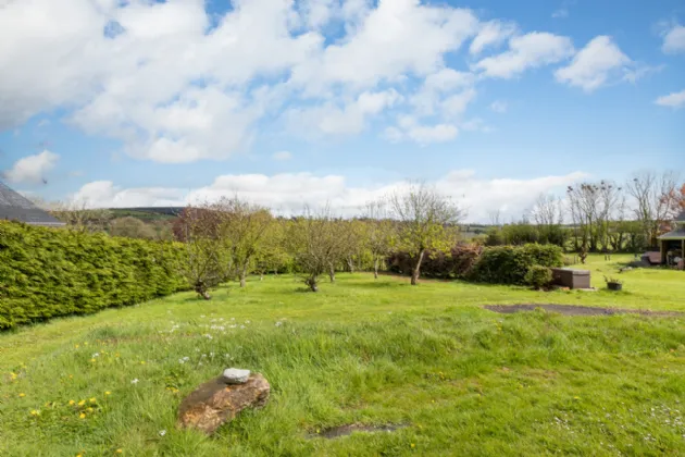 Photo of Clonamona Lane, Craanford, Gorey, Co. Wexford, Y25D437