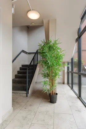 Photo of Apt 3, Parkview, 113 Harold's Cross Road, Dublin 6W, D6W VA49