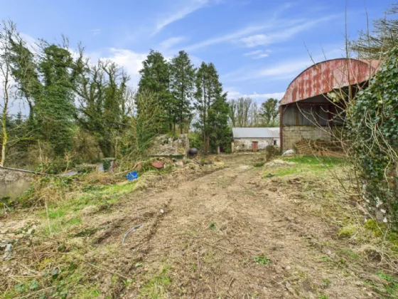 Photo of Cooleacarra, Curreeney, Kilcommon, Co. Tipperary, E41HE92