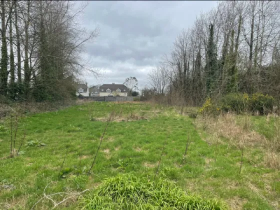 Photo of Clongeen Site, Clongeen, Co Wexford