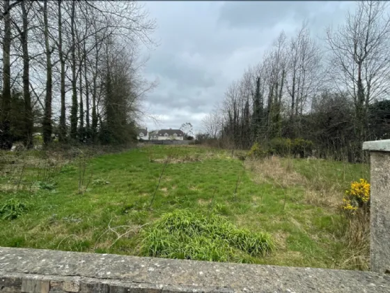 Photo of Clongeen Site, Clongeen, Co Wexford