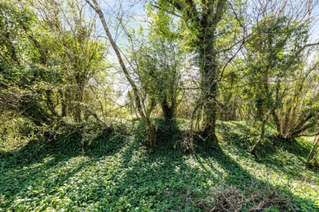 Photo of Raheelan, Belturbet, Co. Cavan