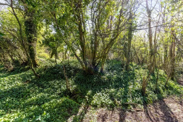 Photo of Raheelan, Belturbet, Co. Cavan