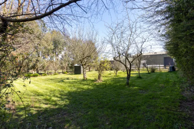 Photo of Ashlane, Coolook, Ballycanew, Gorey, Co. Wexford, Y25A449