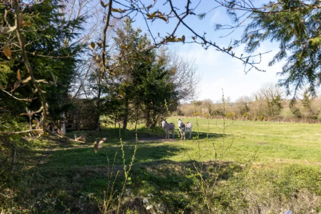 Photo of Ashlane, Coolook, Ballycanew, Gorey, Co. Wexford, Y25A449