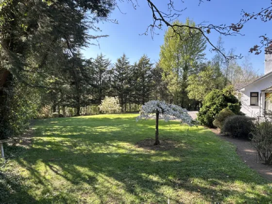 Photo of Fairwinds, Rathclogh, Dualla, Cashel, Co Tipperary, E25W674