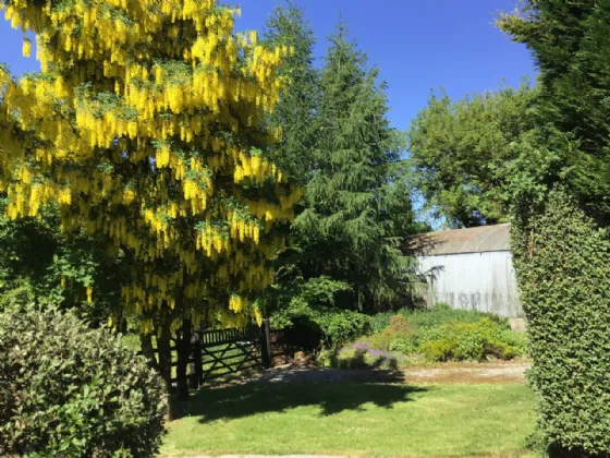 Photo of Fairwinds, Rathclogh, Dualla, Cashel, Co Tipperary, E25W674