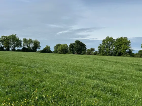 Photo of (Lot 1) Rattin, Kinnegad, Co Westmeath