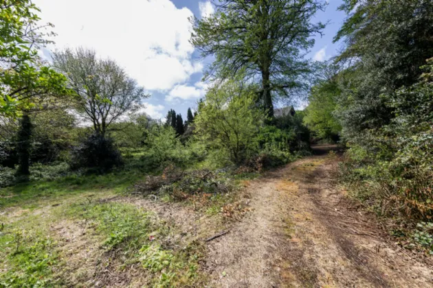 Photo of Rocklands Cottage, Rocklands, Rocksborough, Co. Wexford, Y35 C6D2