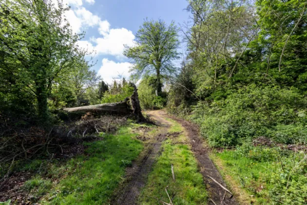 Photo of Rocklands Cottage, Rocklands, Rocksborough, Co. Wexford, Y35 C6D2