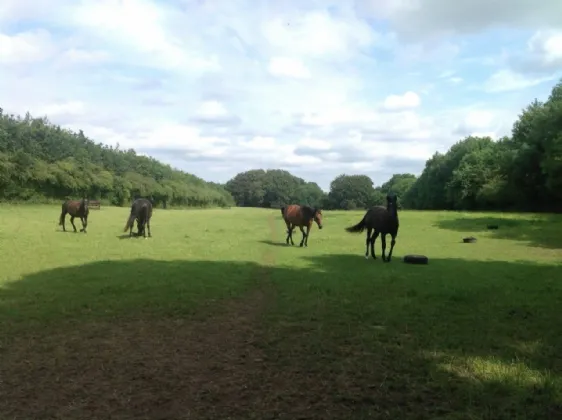 Photo of Ballydonagh House, Cloughjordan, Co. Offaly, E53 PR99
