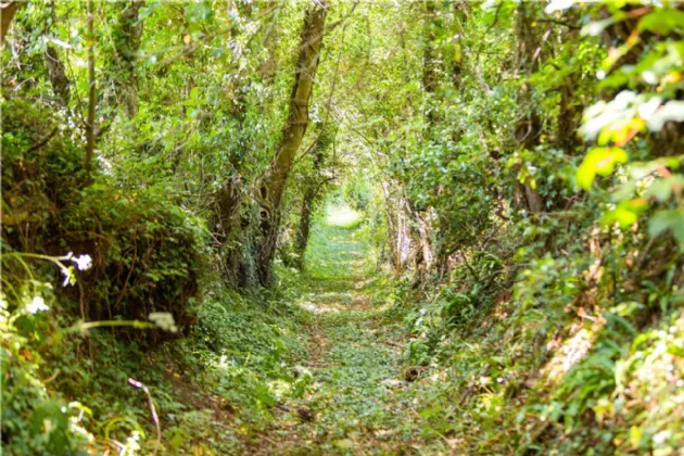 Photo of Ballydonagh House, Cloughjordan, Co. Offaly, E53 PR99