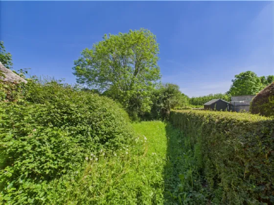 Photo of 17 William Street, Nenagh, Co. Tipperary, E45R270