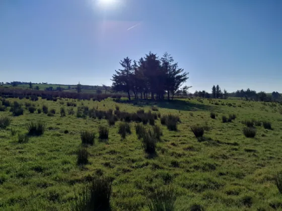 Photo of Meelick, Swinford, Co Mayo