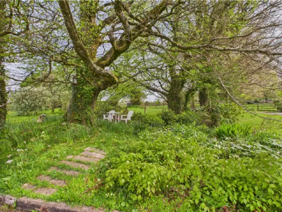 Photo of Masonbrook, Loughrea, Co. Galway, H62 DX67