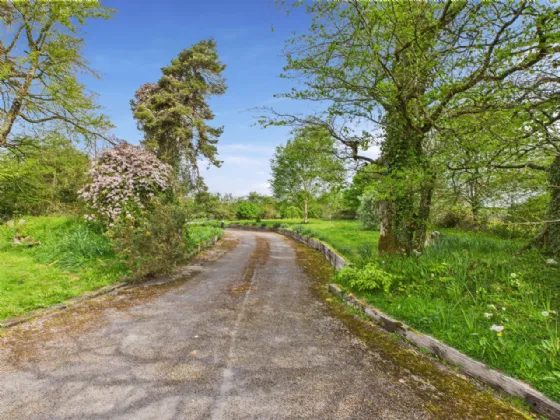 Photo of Masonbrook, Loughrea, Co. Galway, H62 DX67