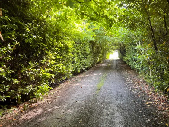 Photo of Mullaunbrack, Thurles, Co. Tipperary, E41 F8F8