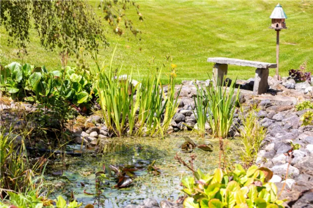 Photo of Ballydonagh House On 27 Ha/67 Acres, Cloughjordan, Co Tipperary, E53 PR99