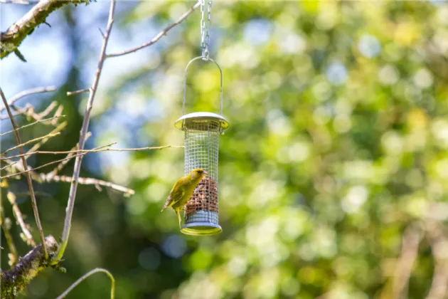 Photo of Ballydonagh House On 27 Ha/67 Acres, Cloughjordan, Co Tipperary, E53 PR99