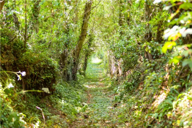 Photo of Ballydonagh House On 27 Ha/67 Acres, Cloughjordan, Co Tipperary, E53 PR99