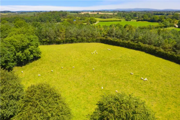 Photo of Ballydonagh House On 27 Ha/67 Acres, Cloughjordan, Co Tipperary, E53 PR99