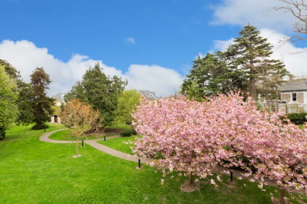 Photo of 61 Ballintyre Square, Ballinteer, Dublin 16, D16 FP28