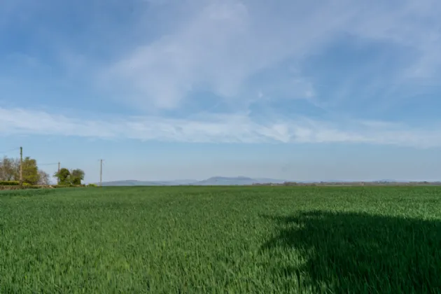 Photo of 'Grainne Uaille', Knocknacree, Castledermot, Co. Kildare, R14 Y309