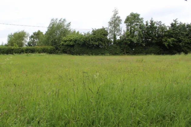 Photo of 0.75 Acre Site Slyguff, Slyguff,, Bagenalstown,, Co. Carlow