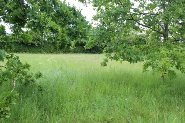 Photo of 0.75 Acre Site Slyguff, Slyguff,, Bagenalstown,, Co. Carlow