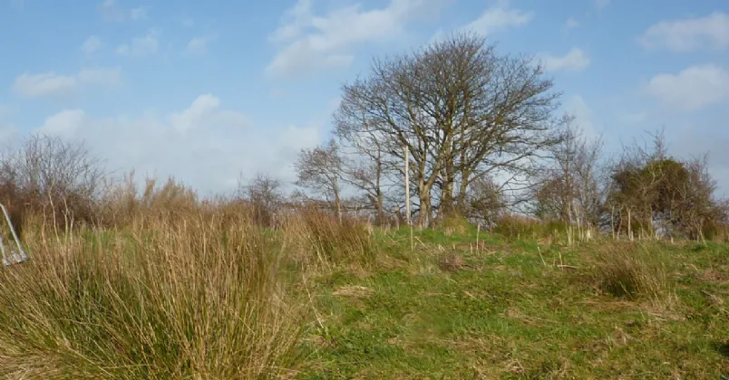 Photo of 5.24 Acres Of Land, Carrowbaun, Westport, Co Mayo